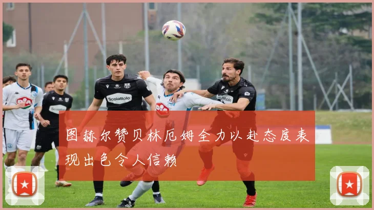 图赫尔赞贝林厄姆全力以赴态度表现出色令人信赖